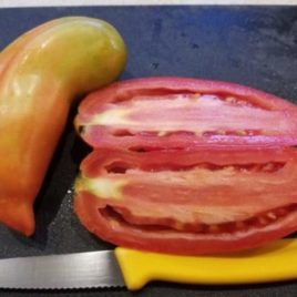 tomato – ‘Opalka’ Heirloom Paste