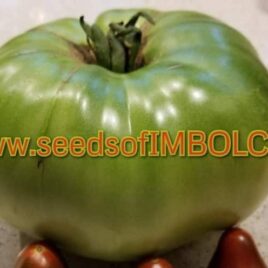 Tomato – ‘Green Giant’