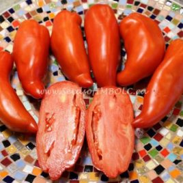 Tomato – ‘San Marzano’ Paste