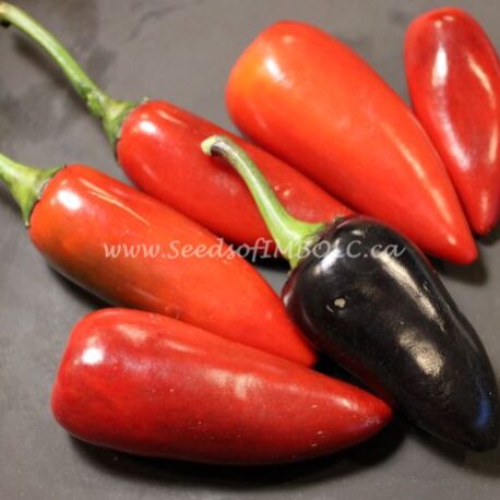 black hungarian peppers