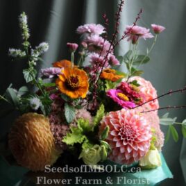 5 week Floral Subscription – ‘Hand Tied Posie’ (smaller Bouquets)