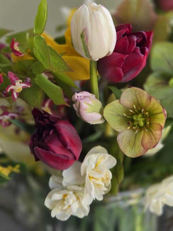 Mothers Day Combo Petite Bouquet + Single Cupcake - Image 5
