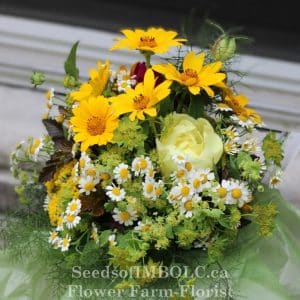 A 'Posie-A-Month' May- October